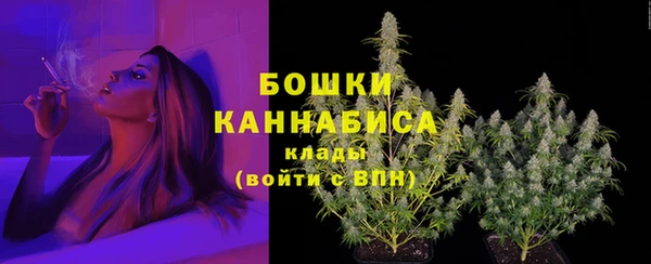 гидра Новодвинск
